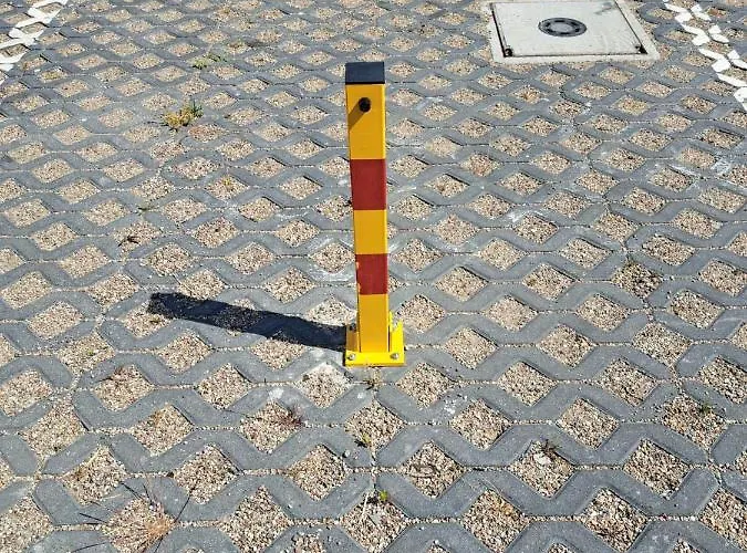 Rangia 슈비노우이스쳬